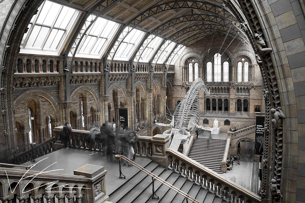 London Natural History Museum