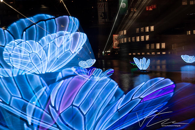 Schmetterlinge Lichterfestival